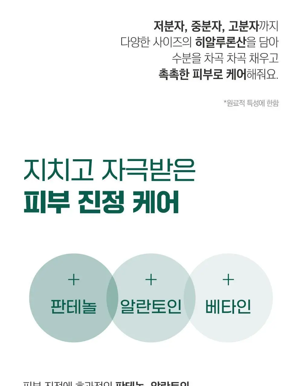 [매끈바디] 라운드랩 소나무 진정 시카 바디 워시 400ml 상세페이지 19